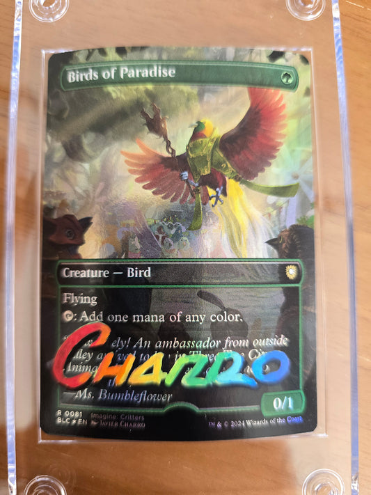 Rainbow, Gradient, Special signature. Add-On